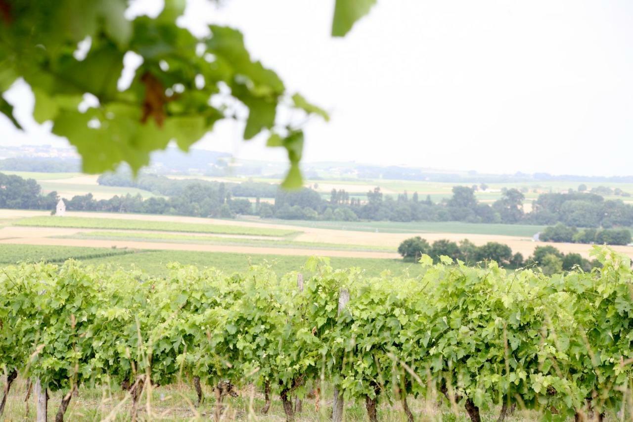 Bed and Breakfast Au Coeur Des Vignes Archiac Екстер'єр фото